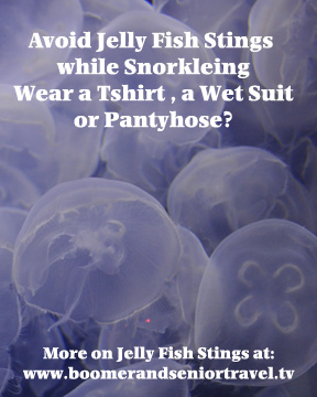Jelly Fish Stings How To