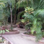 Coco's Cabanas Jungle Path, Riviera Maya Mexico Resort